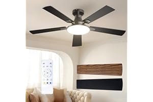 Passky Ventilateur de plafond avec lumière LED silencieux 132cm, Télécommande, Moteur CC réversible, 3 réglages de couleur, Fonction été-hiver, 6 vitesses, Minuterie, Int/ext, Noir