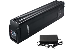 ZUIRUNDA Batteria per bicicletta elettrica Pedelec Pesce d'argento 36 V 12 Ah per MiFa Rex Aldi Bike, adatta per Phylion/XH370-10J, ZL1010101 0-F, adatta per motori da 36 V