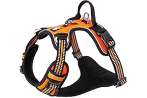 WINHYEPET True Love Harnais pour Chien No Pull Nylon Souple Réfléchissant Réglable pour Petit Grand Animal Facile à Mettre TLH56512