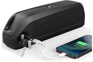 DICHOU 48V Hailong Ebike Batterie 13Ah Down Tube Batterie de vélo électrique, Fit pour 250W 300W 350W 500W 700W 1000W Kit de Conversion avec Chargeur