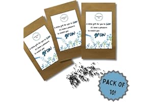 JUST A LITTLE SOMETHING 10 x Teacher to Student Seed Pack Gifts | Watch You Grow | Forget Me Not Seeds | End of Year Gift | End of Term