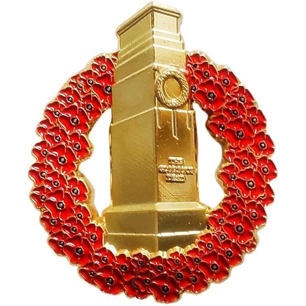 The Red Poppy, Ovvero Il Papavero Rosso Della Memoria: Un Simbolo Che L - Foto 8