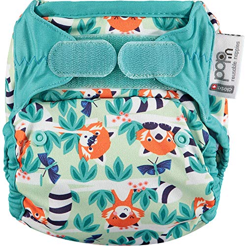 Pop-in Bambu Red Panda