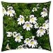 Produktbild Euphrasia Roskoviana - Throw Pillow Cover Case (16