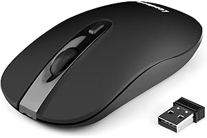 LeadsaiL Mouse Wireless Ricaricabile，Ergonomico Mouse Senza Fili, 2400 DPI Silenzioso Mouse, Portatile Mouse Ottico, 2.4G Mouse USB con Ricevitore Compatibile con PC, Mac, Laptop, Computer - Nero