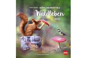 Vadim Trunov: Märchenhaftes Waldleben Postkartenkalender 2026: Der Tierfotograf fängt den Zauber der Waldtiere in seinen atemberaubenden Bildern ein. Süßer Tierkalender 2026. (Postkartenkalender Heye)