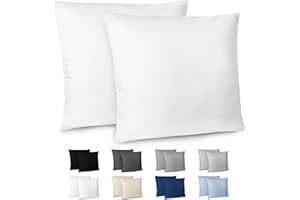 Dreamzie Funda Almohada 60x60cm - Lote de 2 de Microfibra con Cremallera Certficadas Oeko Tex - Funda Almohada Suave y Cepillada - Blanco