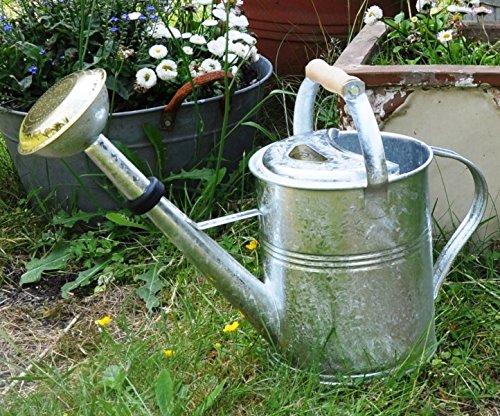 Preisvergleich Produktbild kuheiga Giesskanne, 5 Liter, Zinkkanne, mit Holzgriff