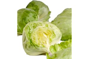 DTTRA Salat Iceberg / Eissalat 1 x 1 Stk