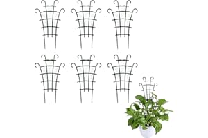 BIBITI 6 unidades de ayuda para plantas de interior, soporte para plantas de jardín, enrejado pequeño, ayuda para trepar plantas de interior, enrejado para plantas de escalada, hiedra, soporte para plantas