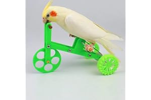C-LARSS Perroquet Vélo Jouet Oiseau Jouet Interactif Créatif Coloré Drôle Perroquet Vélo Jouet pour La Maison S
