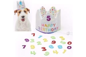 Pet London Happy Birthday Crown Hat for Dogs & Cats-Add Any Age-Glitter Numbers Included (20pcs) - Celebrate Pets Birthday - Reusable Every Year & Reversible- embroidered with HAPPY BIRTHDAY (Small)