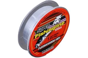 Doubleer 100 mètres Fluorcarbone de Ligne de pêche en Nylon # 0.4- # 8.0