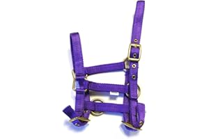 Rhinegold Licol en Nylon pour Poulain