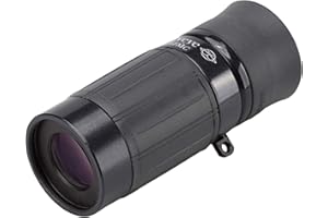 Kenko Monoculaire Gallery Eye 6x16 Black, Traitement Multicouche, Longueur focale Minimale 25cm, Fabriqué au Japon, pour l'appréciation de l'art, Noir, 014707