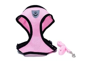 Locisne Mesh Tissu Dog Vest Harnais souple réglable confortable | Pet Chest Lead Walking Leash avec clip