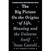 The Big Picture: On the Origins of Life, Meaning, and the Universe Itself