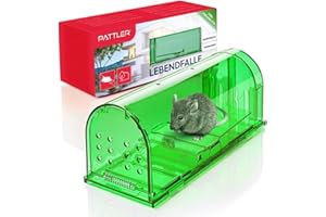 PATTLER® Piège à Souris vivantes Extra Grand | Capture des Rats avec des Trous d'air | Installation Facile dans la Maison, Le Garage ou Le Jardin - Vert 1 Pièce