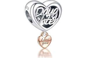 RMMY Family Love Anniversary Charms Abalorios Colgante de Cuentas Plata de Ley 925 con Compatible con Europeo Pulsera Collar, Charms de Para Niña Mujer Regalos de Familia y Amigos