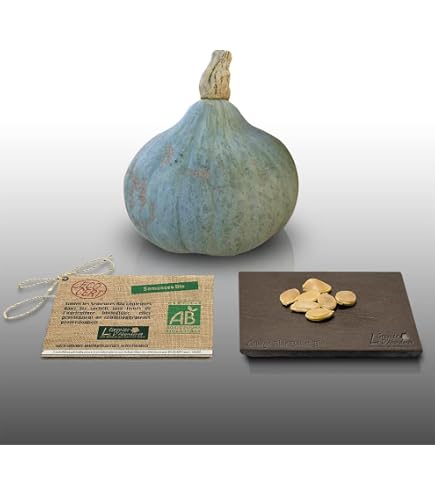 Lot De 2800 Graines Aromatiques - 10 Sachets Variés Pour Potager Débutant | Semis Facile En Pot Ou Pleine Terre - Le Grenier D'Abondance - 7