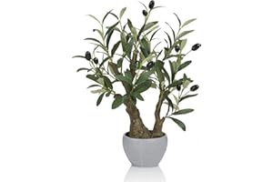 HPNIUB Artificial Olive Tree Potted Plant with Stone Pot,Tall Japanese Bonsai Tree Faux Plants Desk Plant, Realistic Greenery Decor for for Home Bedroom Bathroom Office Desk 34x26x47cm