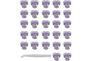 WJIAEER 40PCS Flores secas Naturales Pensamientos Flores secas Reales para Repujado de Resina con Pinzas de Codo (Azul púrpura)