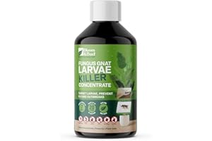 Bloom & Bud Fungus Gnat Larvae Killer Concentrate (100ml) – Makes 20 Applications – Fast-Acting Natural Gnat Control for Houseplants – Kills Larvae – Safe, Non-Toxic, Biodegradable