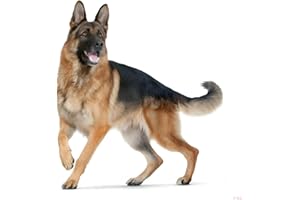 TIZIKJ Adesivo per auto con cane da pastore tedesco, 18 cm, adesivo per animali domestici, cane e cane strappato, riflettente, impermeabile, per paraurti posteriore, decorazione D2007#