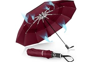 Herreicher Reise Regenschirm Automatik Sturmfest - Leichter Aluminiumshalter Kompakt Faltbar Schirm Doppelt-210T-Abdeckstoff 102cm Spannweite 10 Rippen für Herren/Damen/Kinder/Ältere