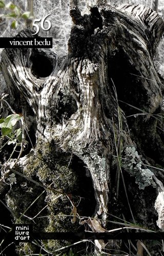 56 (mini livre d'art t. 6) 56 (mini livre d'art t. 6)