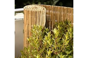 SHAMZ Extra Thick Bamboo Screening, Eco-Friendly Privacy Fence, Extra Thick Natural Peeled Reed Fence, as Wind and Sight Protection(8mm-10mm Thickness)(1.5m x 5m)