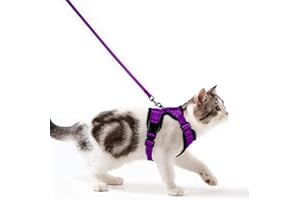 WDMIYA Katzengeschirr mit Leine Ausbruchsicher Katzenleine Set Verstellbar weich Kätzchenweste mit Reflektierenden Streifen Brustgeschirr für kleine Kitten (Lila, S)