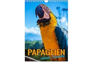 ‎CALVENDO Papageien - exotische Schönheiten (Wandkalender 2024 DIN A4 hoch), CALVENDO Monatskalender