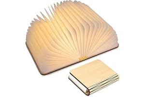 SANOTO Lampe Livre Grand, Lumineux en Bois, LED en Forme de Livre, Rechargeable par USB, Cadeau Original pour Elle Parents Enfants Amis - Érable Blanc (20*16*2.5CM)