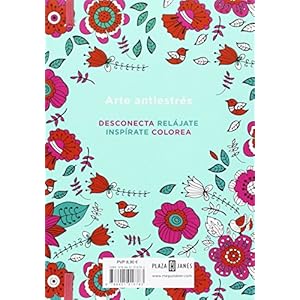Arte Antiestrés. 100 Jardines Para Colorear (OBRAS DIVERSAS)