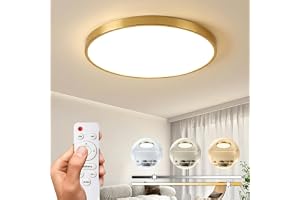 CANMEIJIA 30W Guldfärgad Taklampa 27cm Dimbar Varmt och Kallt Ljus Rund