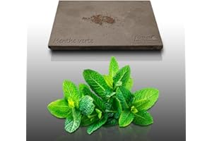 LE GRENIER D'ABONDANCE LES GRAINES QUI DONNENT ENVIE 250 graines Aromatiques à semer - Le Grenier d'Abondance - MENTHE Verte - Mentha viridis