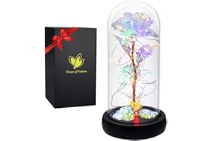 DREAM OF FLOWERS La Belle et la Bête, Rose éternelle, Fleur artificielle, Cadeau unique, Saint Valentin, Thanksgiving, Anniversaire de fille, Galaxy Rose, Meilleur cadeau pour elle, Petite amie, Femme (argenté)