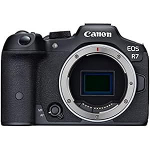 Canon EOS R7 32.5MP Mirrorless Camera Body | APS-C Sensor | 4K Video Recording (Black)