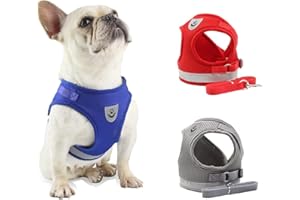 DARENYI Small Dog Harness and Lead Adjustable Dog Harnesses, Dog Vest Harness and Lead for Walking, Mesh Breathable Comfortable Puppy Harness for Small Dogs (Size M, Blue)