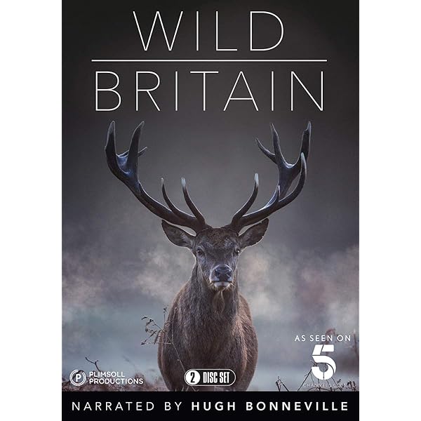 Wales: Land of the Wild [DVD]: Amazon.co.uk: DVD & Blu-ray