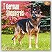 German Shepherds 2016 - Deutsche Schäferhunde - 18-Monatskalender mit freier DogDays-App: Original BrownTrout-Kalender [Mehrsprachig] [Kalender] (Wall-Kalender) by 
