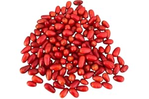 10 Semillas Chiltepin -Chile- by Samenchilishop