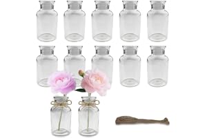 VELLUSTRA 12 stycken miniglasvaser, 125 ml små vaser, med jutesnöre, vas dekoration, minimalistisk blomvas, glas, vas-set för