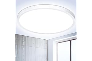 OUILA Plafon LED Techo Redondo Lámpara de Techo Blanco Frio 6500K Ø22CM 18W 1800LM Luz de Techo Moderna Lamparas de Dormitorio de Techo Salon, Cocina, Baño, Pasillo, Sala