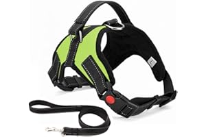Musonic Harnais pour Chien sans Traction, Confort Réglable et Respirable, Laisse Incluse, pour Petit Moyen et Grand Chiens, Idéal pour l'Entra?Nement et la Marche (S, Vert)