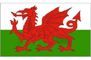 KLICNOW 5ft X 3ft Wales Dragon National Flag