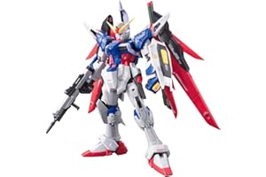 BANDAI SPIRITS Bandai - real grade destiny gundam (41858)