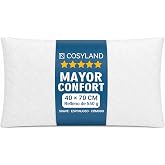 COSYLAND 2 Pack Bed Pillows - Hotel Style Luxury Quilted Design, Soft, Soft, Comfortable and Breathable for Sleeping, white,
