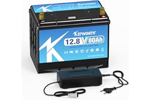 FLLYROWER Batterie Lifepo4 12v 80ah avec cellules Grade A et BMS Parfait Temps de Cycle Bas jusqu'à 10000 pour Moteur trolling RV Camping Solaire supportent la Connexion en série et en parallèle